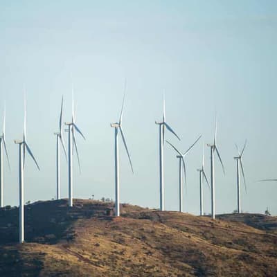 Call for net zero by 2035 to be a global climate leader