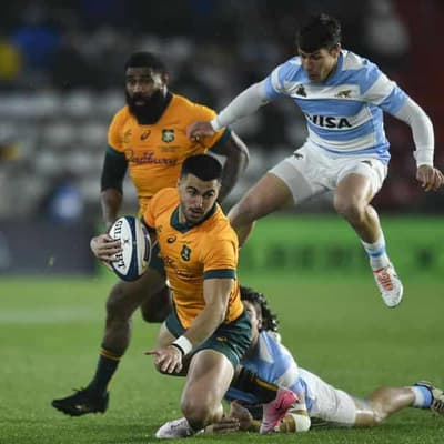 Wallabies bracing for beaten All Blacks Cup response