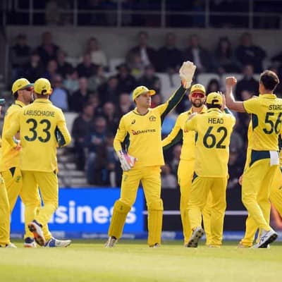 Bowlers, Carey earn Australia comfortable ODI victory