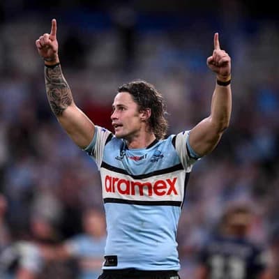 Sharks doing best Panthers impersonation in all grades