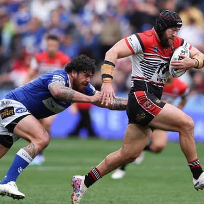 Bears fall, but bid for ending NRL hibernation rises