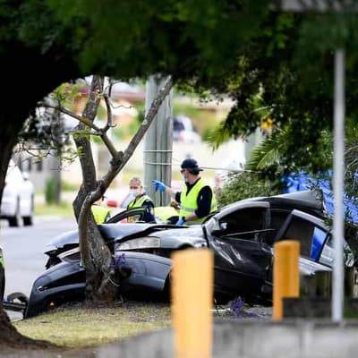 Speed limit cuts needed to help fix road toll 'crisis'