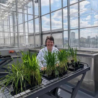 'Game changer': facility sheds light on plants' future