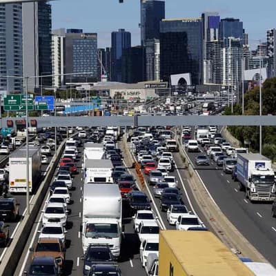 World's major cities have not agreed to ban meat, dairy and cars