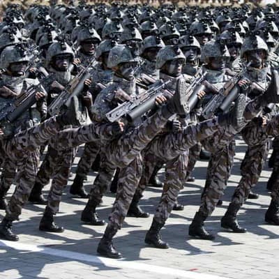 Ukraine could be battleground for North and South Korea