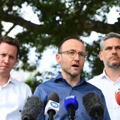 Greens point finger at Labor after another poll letdown