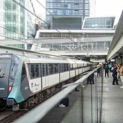 Calls for 24/7 public transport as patronage increases