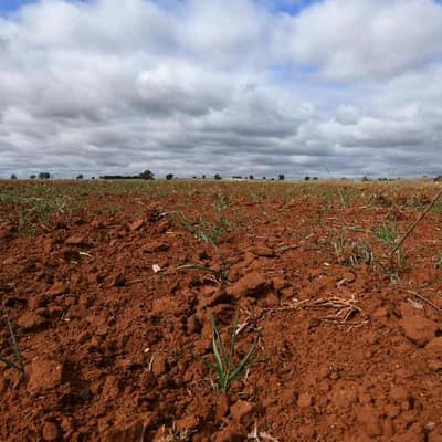 Climate investors told to press ahead despite Trump