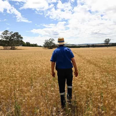 Psychology goes in search of new age Aussie farmers