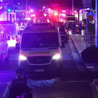 Fresh treatment hope for frontline workers with PTSD