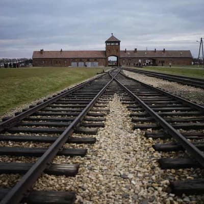 Red Cross did not 'inspect' and give all-clear to Auschwitz death camp