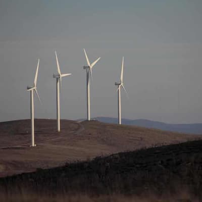 Billions in the bush: energy wires lifeline to farmers