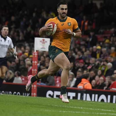 The Wright stuff: The flying Brumby who can match Ella