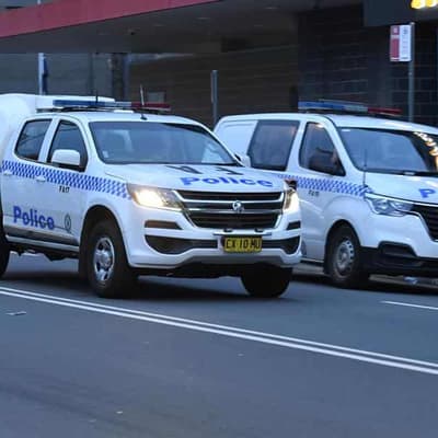 Man charged with doing Nazi salute at march