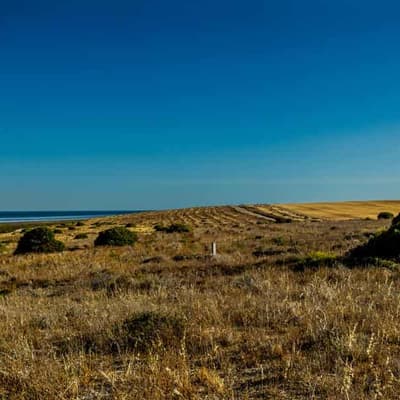 Culture and Country are at the heart of this garden