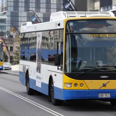 Deals on the bus go down, down: transport costs plunge