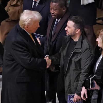 Trump calls for immediate Ukraine ceasefire