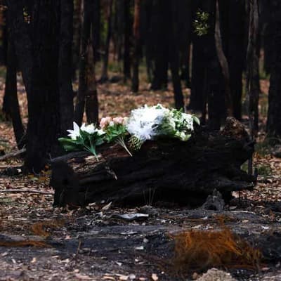 Man accused of killing ex-girlfriend wants city trial