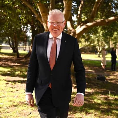 No pants, no problem: MP cleared over night parly visit