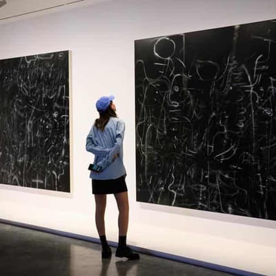 Cash shortage forces major gallery to charge $20 entry