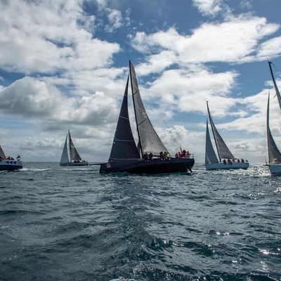 Scarlet Runner, Rushour dominate Melbourne-Hobart race