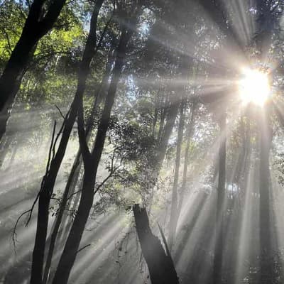 Grisly discovery at popular tourist destination