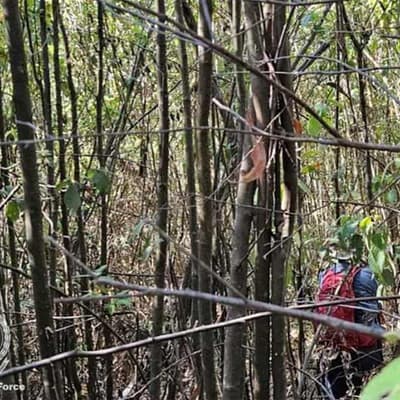 Missing hiker search rolls on after his camera is found