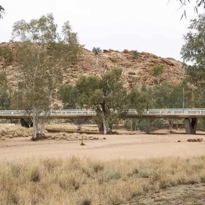 DV homicide adds to 'horrible' start for 2025: police