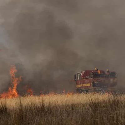 Crews guard richest collection of rock art from blazes