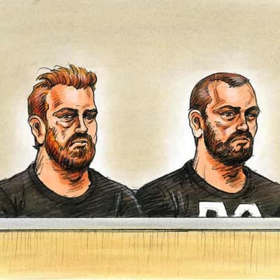 Accused 'Pam the Bird' graffiti vandal makes bail bid