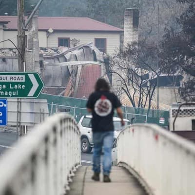 'A lot of anguish out there': lessons from Black Summer