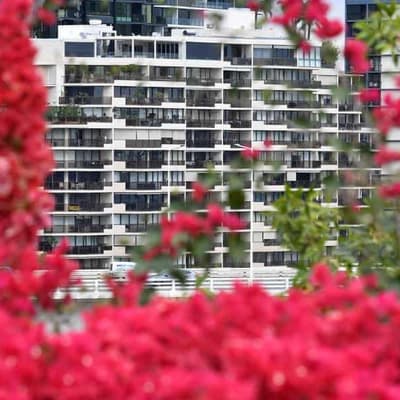 Home approvals bounce can't keep a lid on prices