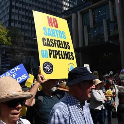 'Fake culture': legal body's charity status under fire