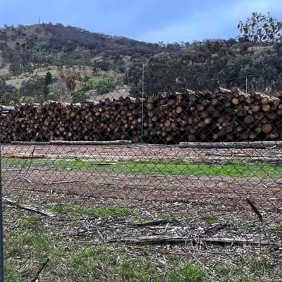 Industry shoots down calls to axe native logging
