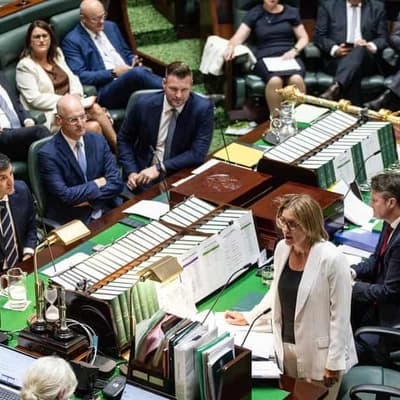 Under-pressure government slammed for bail laws review