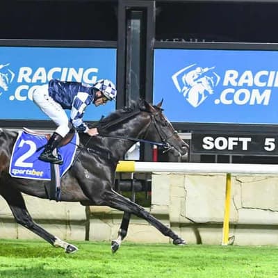 Senator pushes for gambling industry influence inquiry