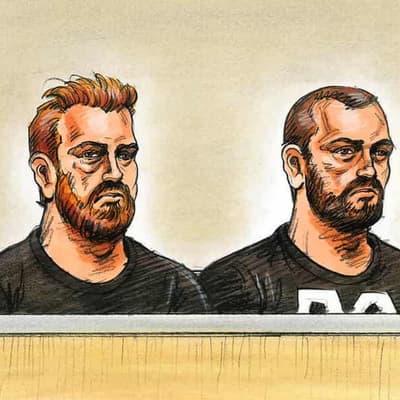 Bail decision delays for accused 'Pam the Bird' vandal