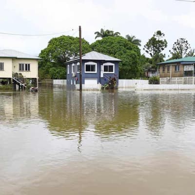 Insurance claims flood in after torrential rains