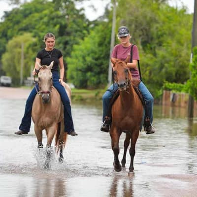 No horsing around for family bracing for more rain