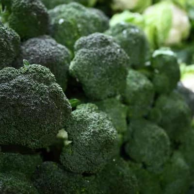 Evidence lacking for cornucopia of cancer cures