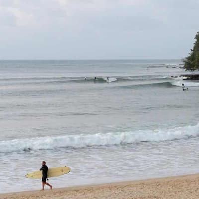 Petition to parliament pushes for four-day working week