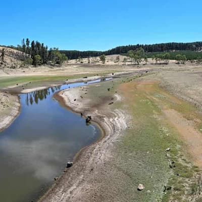 Harvest billions evaporate as drought punishes farmers