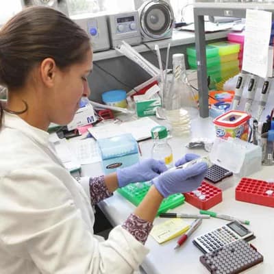 Women in STEM fields in spotlight on international day