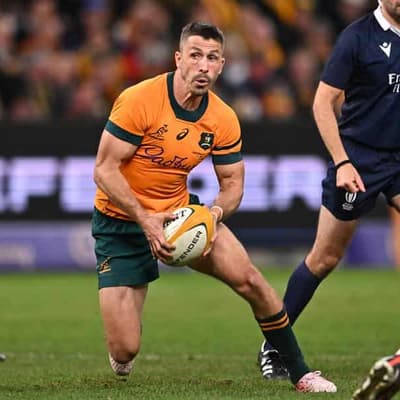 Wallabies star backs Schmidt for consultancy role