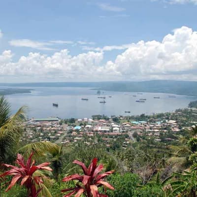 Aust funds PNG port upgrade amid race for influence