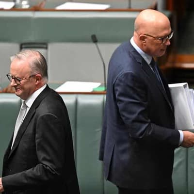 Dutton projected to be next PM but teals still a threat