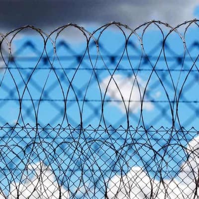 Voters' attitudes to refugees revealed in fresh polling