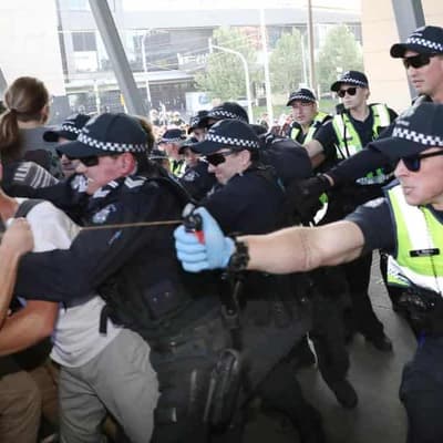 Police say pepper spraying 'peaceful' protester lawful