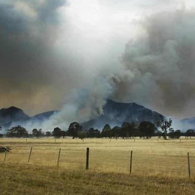 Climate risk main reason premiums are rising: insurers