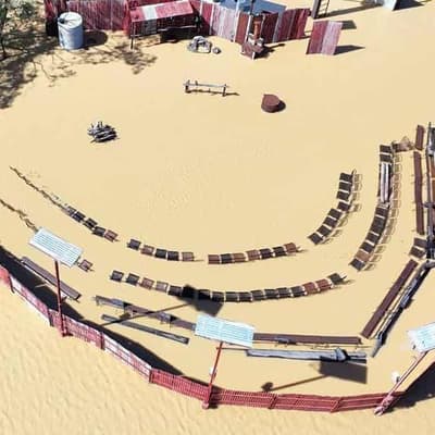 'Like winning lottery': Graziers salute flood impact